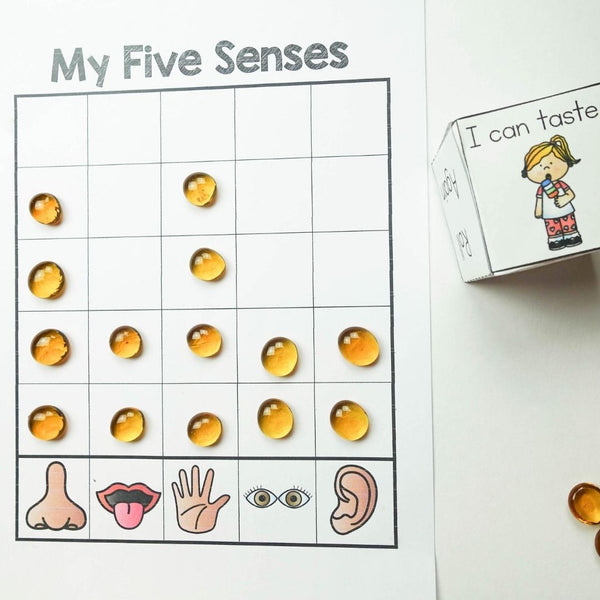 Five Senses Preschool Activity Plans